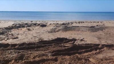Tipidter Polda NTT Diminta Turun Tangan Tangani Dugaan Tambang Pasir Laut Ilegal di Rote Ndao