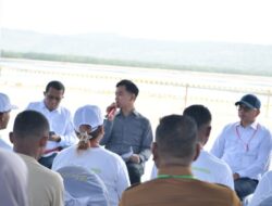 Gibran Soroti Potensi Besar Rumput Laut Rote, Dorong Hilirisasi dan Modernisasi untuk Petani