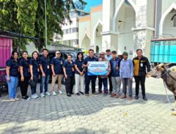 Bank NTT Salurkan Hewan Kurban ke Masjid-Masjid di NTT, Perkuat Kepedulian Sosial pada Idul Adha 1447 H